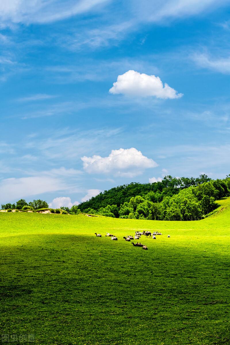 荷花|郭进拴|故乡的抱玉河