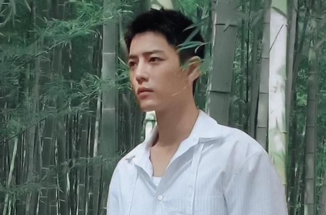 肖战|公道自在人心!“官报”刊登肖战经典舞台,直言肖战是正能量艺人