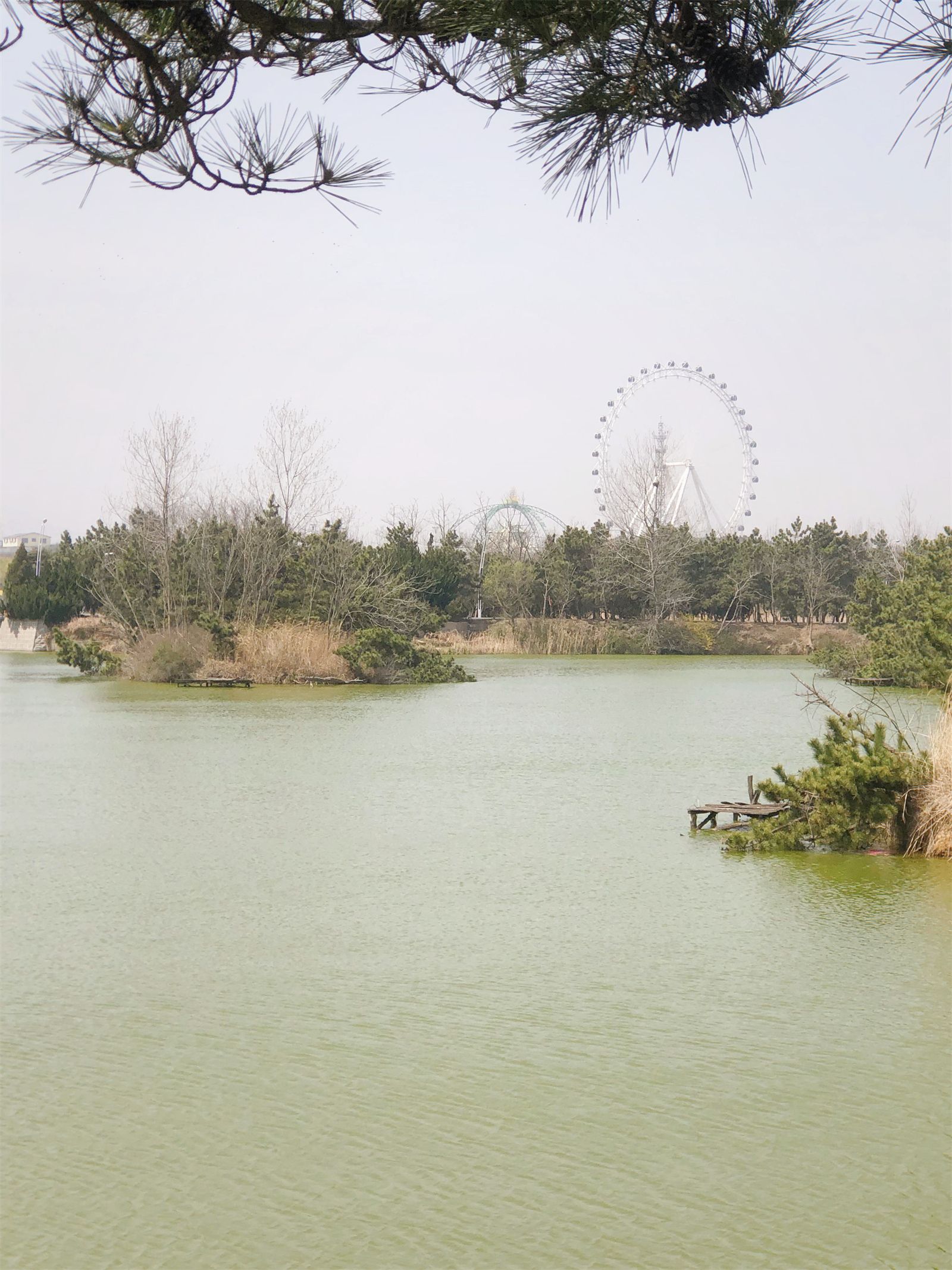 五台山|日照旅游,海风吹来了整个夏天,日照旅游攻略