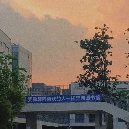 文案 | 后来啊 月亮失约了 太阳也落山了