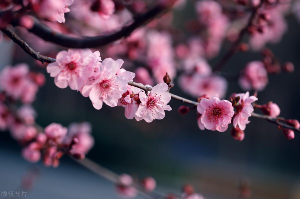 |在现实生活中,熬过来出头,熬不了沉沦