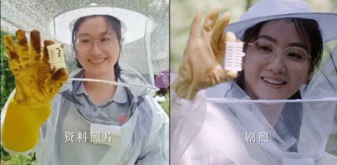 杨幂|全网泪崩!突然去世,太可惜了…