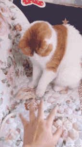 |“十年前后的手机变化有多大？”合着就变了个字母