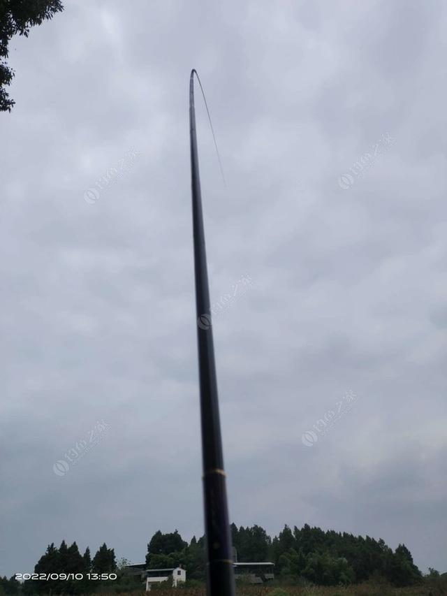 白鲢|【作钓报告】往事不堪回首,鱼获知道多少