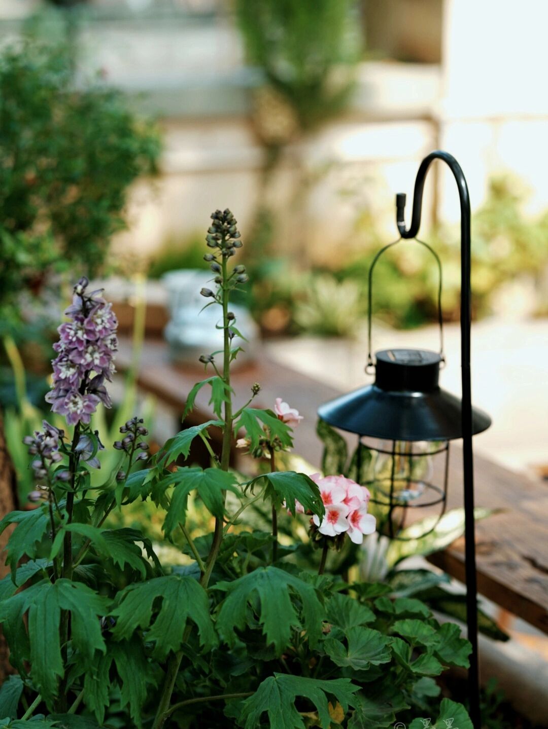 DIY造园:自己设计打造100㎡花园,不需要花太多钱,但充满成就感