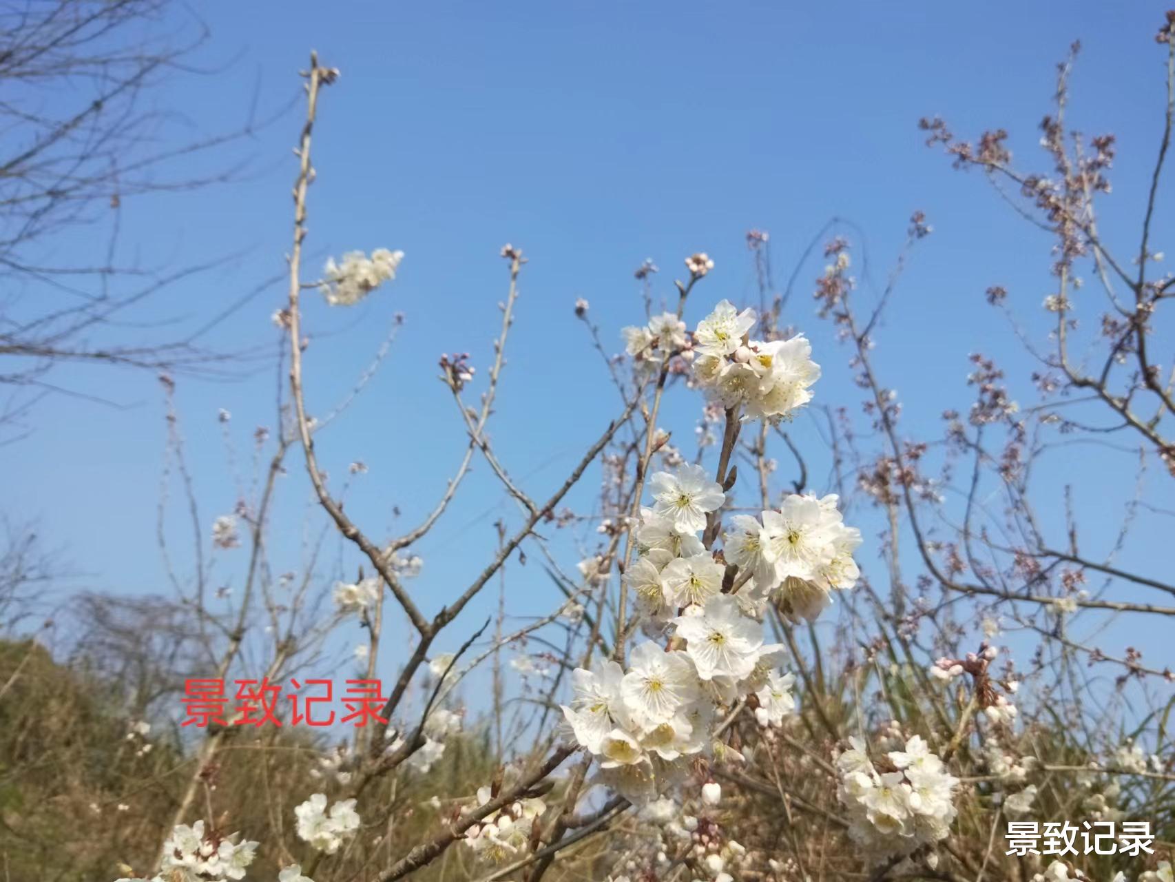徐霞客|景致记录：广西南宁明镜岩，是否依旧飘逸出尘，一如徐霞客所见