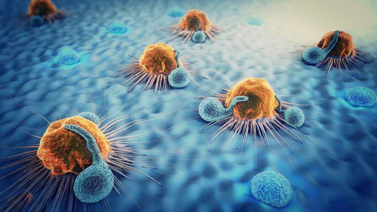 我们有望实现永生?科学家找到了能无限分裂的细胞,已有5000万吨