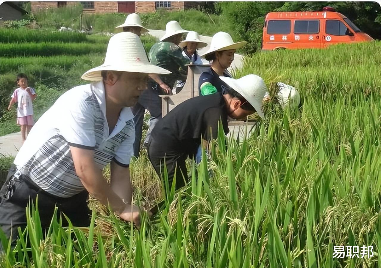 招聘|2023乡镇公务员迎来招聘,岗位名额多,还有3个隐藏优势