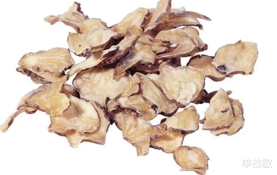 附子|中医火神派没落了吗？