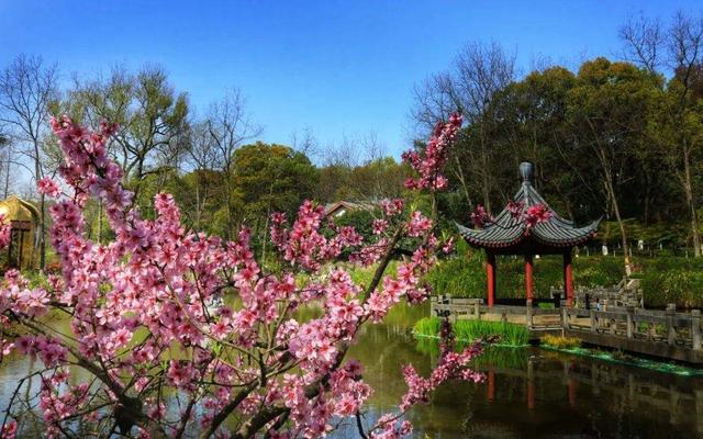 美丽|南京的第一明秀山——栖霞山，每年春秋景色宜人，好春光不宜错过