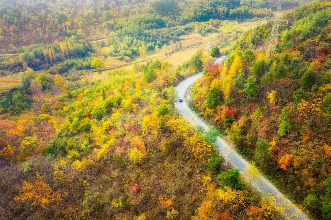 安徽|比日本唯美,比香山震撼,浪漫醉人的小城,藏着中国最美的秋天!