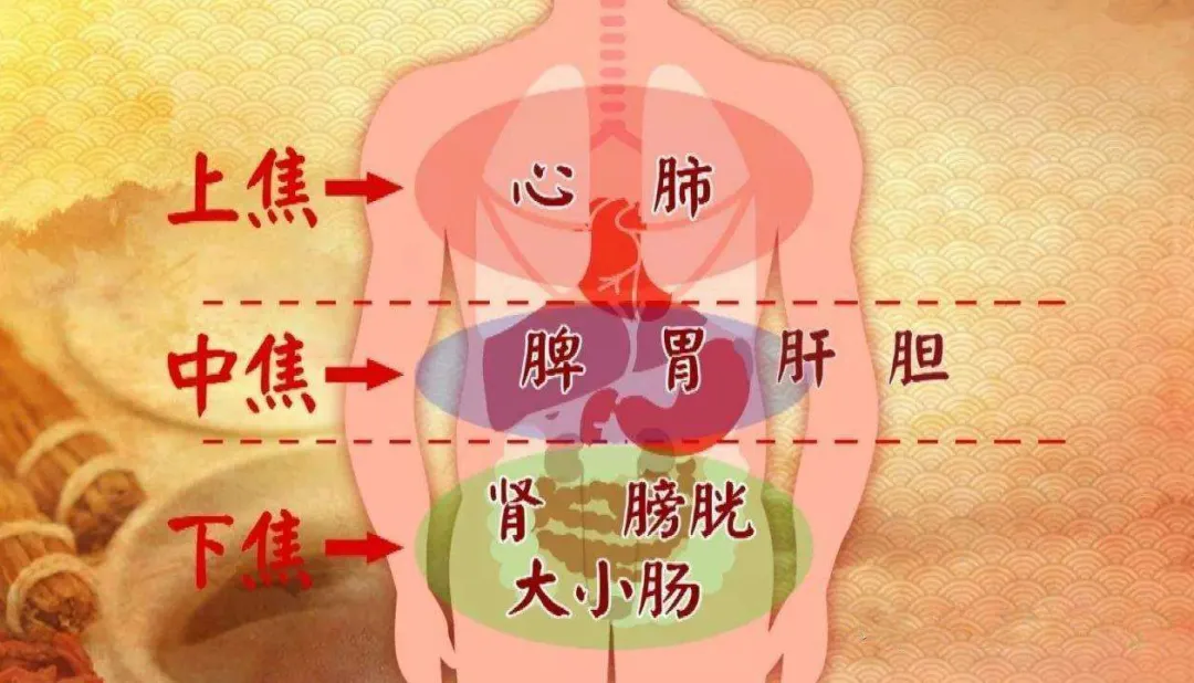经络|三焦经，人体的出气筒，女人最重要的一条经络！