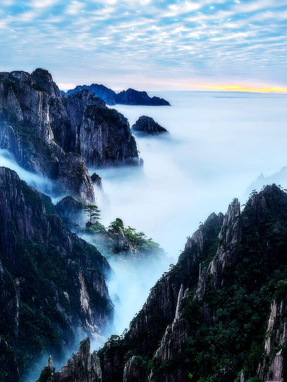 游山川|登黄山观雪景，山舞银蛇腾云驾雾，人生能有几回见