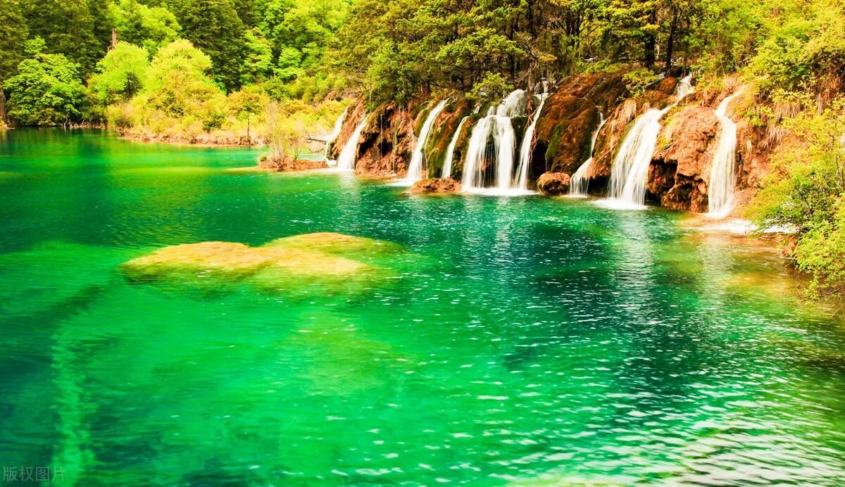 荷花|郭进拴|故乡的抱玉河