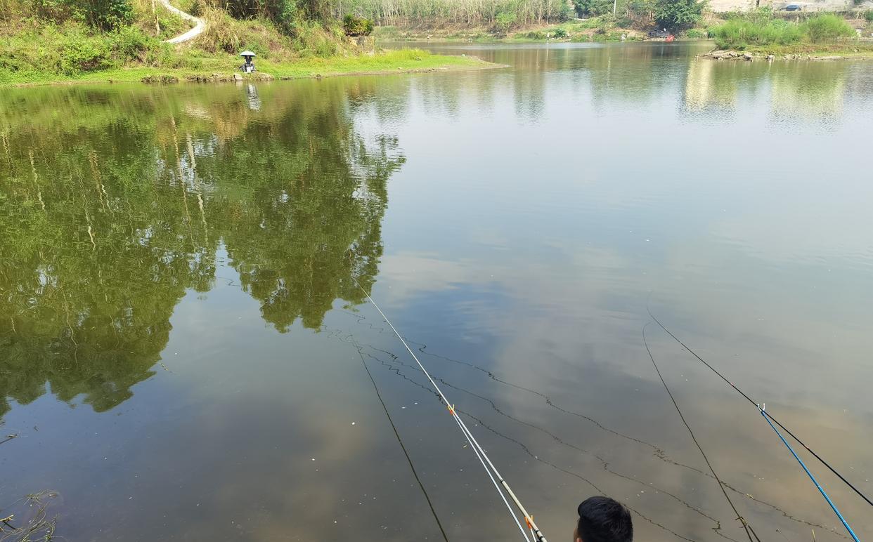 饵料|国庆节钓鱼！哪天适合钓鱼？哪天不适合？请看详细分析