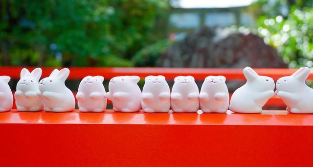 京都|冈崎神社：京都萌萌的兔子神社