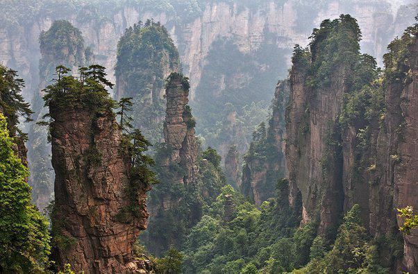 哪个国家的生物群落最多样化?