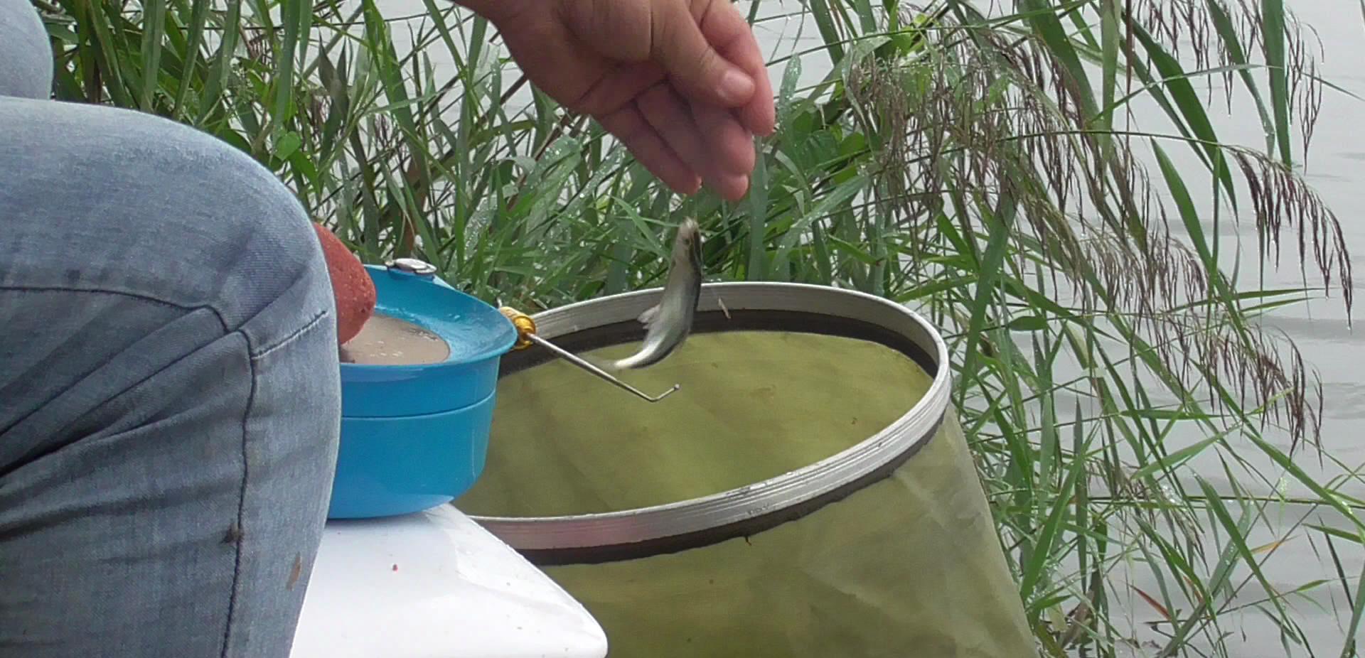 饵料|“伪”钓鱼大师成长史，装着装着就真把自己当大师了，专门骗小孩