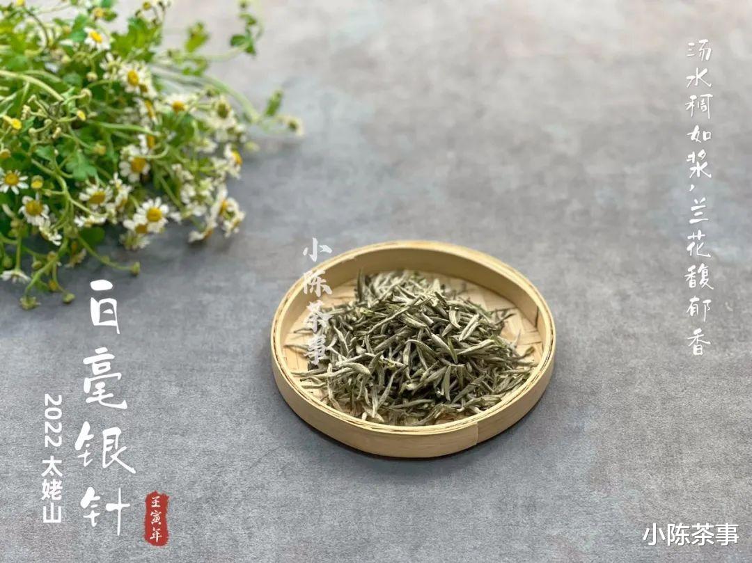 牙齿|盖碗泡白毫银针，投入多少茶叶才算合适？3克、5克，还是8克？