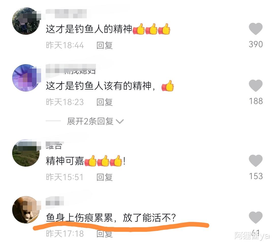 清明节|罕见！湖北举水河百斤青鱼王被人钓上岸，他的选择赢得网友好评