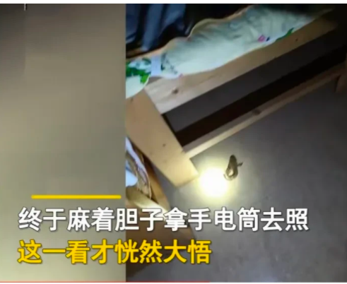 广东揭阳,一名女子在睡觉的时候,无意之间听到床底下传来一阵阵滴答滴答按遥控器的声音