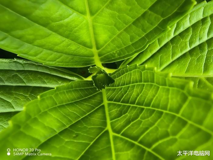 金士顿|昼夜都能拍！全价位段这些拍摄利器不容错过