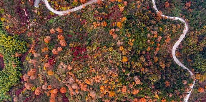 摄像头|这几处适合秋季游玩的地方，可以让你观赏到最美的秋色