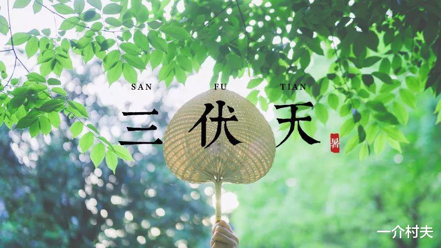 明日入伏,今年是公伏还是母伏?入伏下雨好不好?俗语这样说