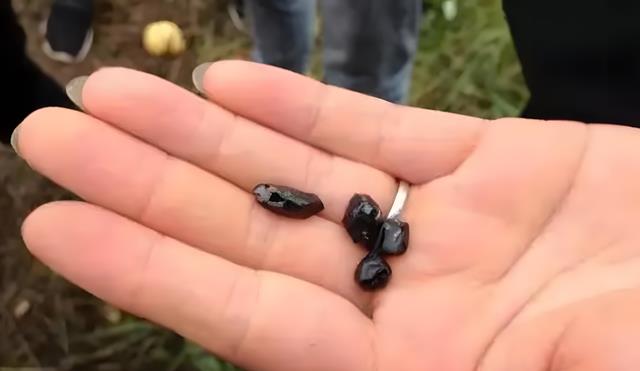 |2019年,浙江茶山被传遍地可挖“红宝石”,千人挖宝“真相”尴尬