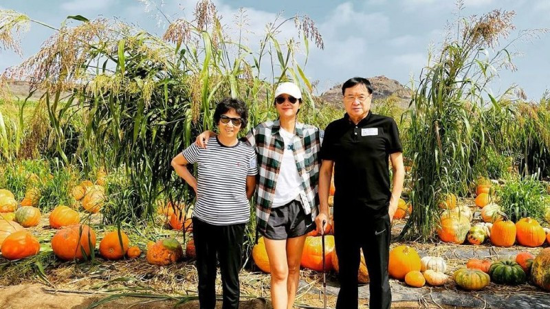 徐静蕾|48岁徐静蕾被爆待产中，本尊亲晒近照小腹平平破传闻