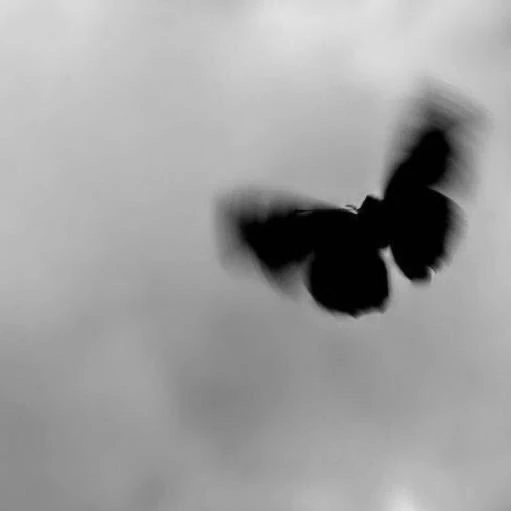 微信|QQ 微信 背景图 | 既然来了,那我就一定要把它做好