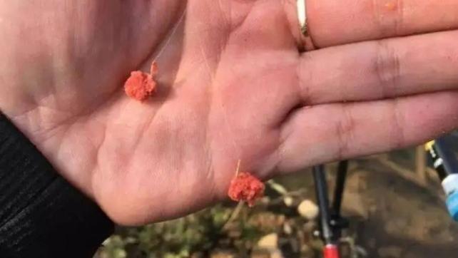 饵料|如何开出状态好的拉饵？解析开饵细节和操作方法，能开好更要用好