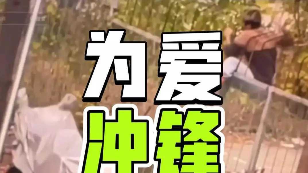 为爱冲锋大反转！男女主合体直播捞金翻车！知情人、警方曝光真相