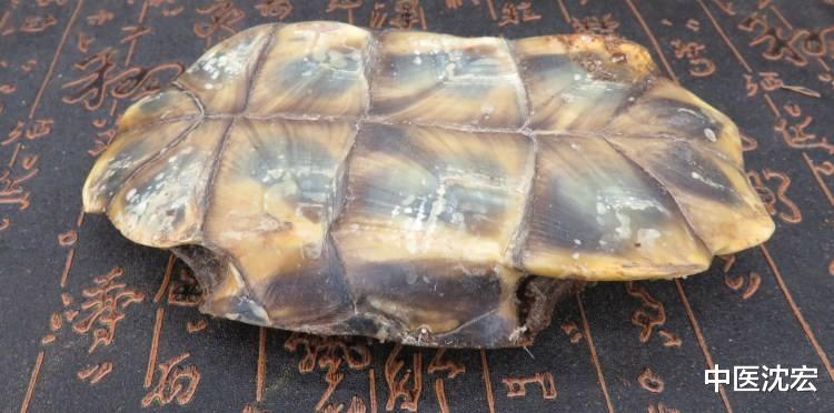 衰老|高血压,肝肾阴虚,肝阳上亢?送你4味药,滋补肝肾,降血压