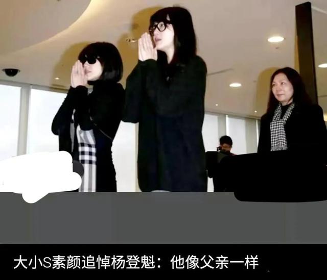 大S|起底大s的后台她的干爹杨登魁，暗恋过大s，帮李连杰摆平过仇家