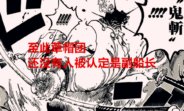 索隆|海贼王102卷：尾田亲口否认索隆是副船长，他的胸围比娜美还大