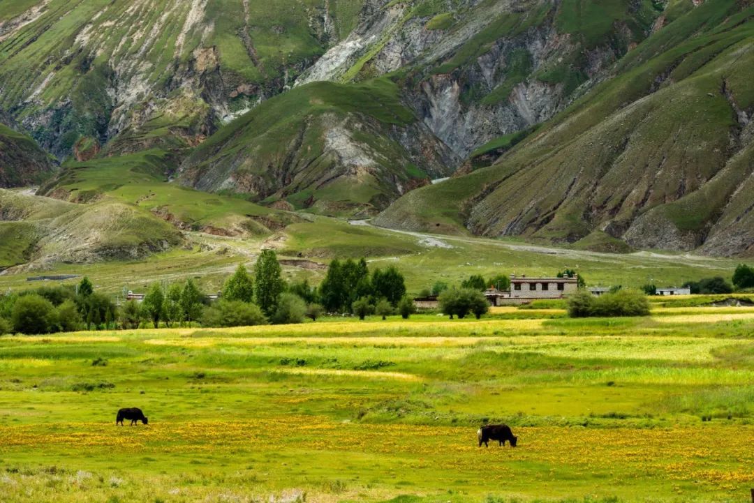 香港|草原季即将开启,如何选择最适合你的草原?