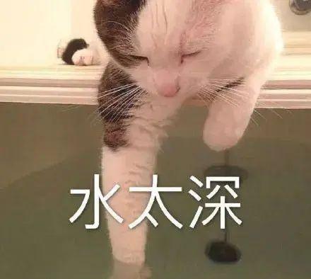 李玟|李玟大闹《好声音》现场，怒斥节目组眼瞎，彻底揭开选秀黑幕