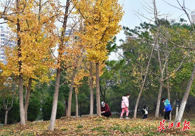 |畅游绿道,享受冬日暖阳