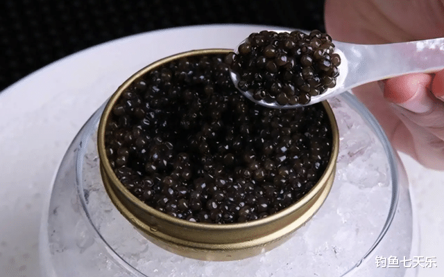 外来物种“鸭嘴怪鱼”现身广西,别怕!它们不具备入侵的能力