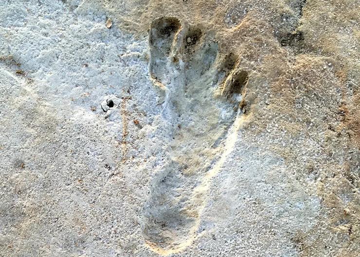美国发现88个“鬼脚印”,1万年前留下,为何雨天出现晴天消失?