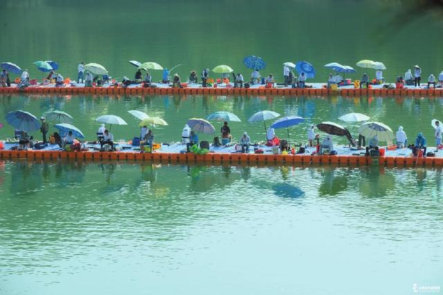 鲢鳙|哪个省份钓友多?对这个钓鱼大户众说不一,看我是怎么排位的