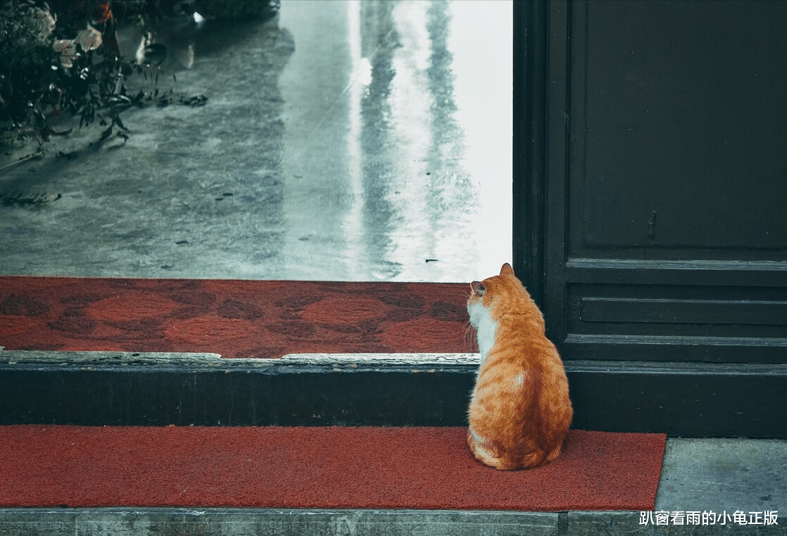 鸡蛋|立夏将至，该吃“立夏7宝”了，莫忘“3不要”，一人健康全家幸福