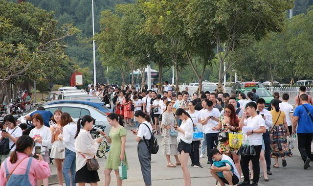 高校|成人高考身份证丢了怎么办？建议加急补办身份证