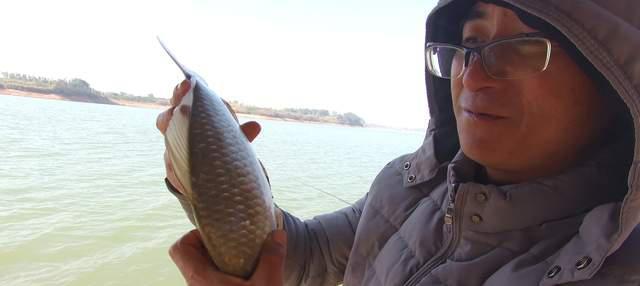 饵料|浅谈冬季野钓线组与抓口，粗了真的钓不到鱼？