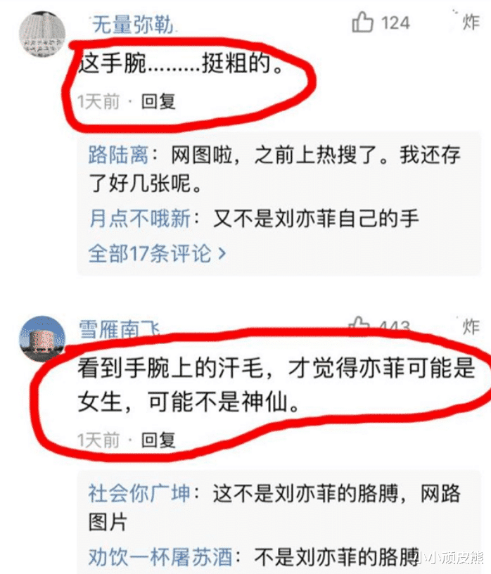 刘亦菲|刘亦菲发文分享近况，“手捧刺猬”配图引热议，被指体毛太旺盛