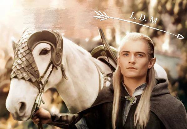 |5本都市娱乐明星小说，不无脑搬运作品，剧情紧密结合