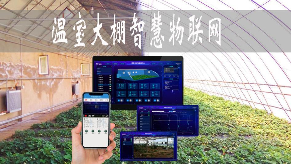 物联网|温室大棚智慧物联网，手机APP控制温湿度，不需值守