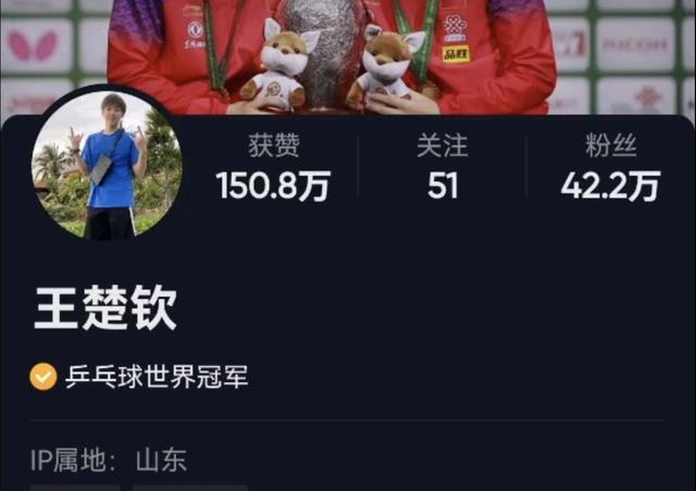 |不是有陈梦和张继科吗？球迷对王楚钦的行程，感觉到困惑
