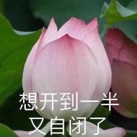 终止谈判!退出竞争!骑士真的没有未来了吗?